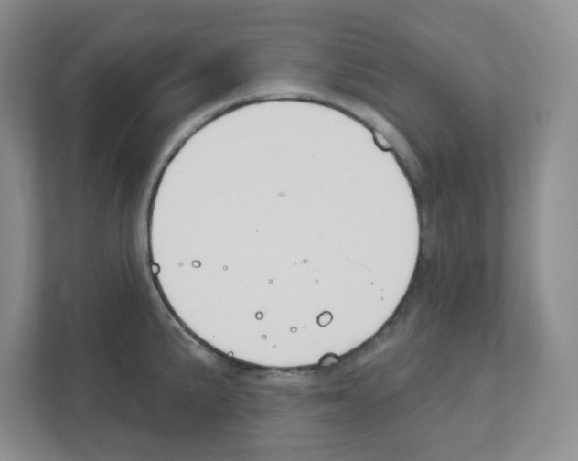 X0000111421191200908241126