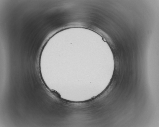 X0000111421192200908241126