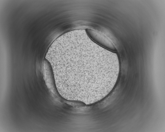 X0000111421193200908241126