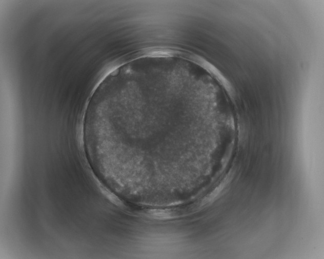 X0000111421194200908241126