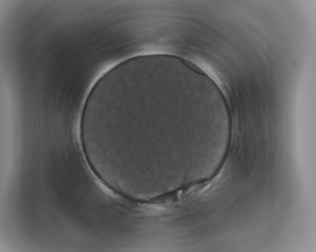 X0000111421197200908241126