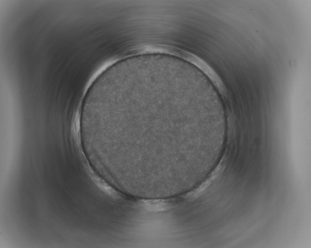 X0000111421198200908241126