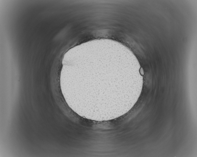 X0000111421201200908241125