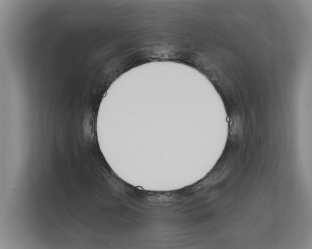 X0000111421202200908241125