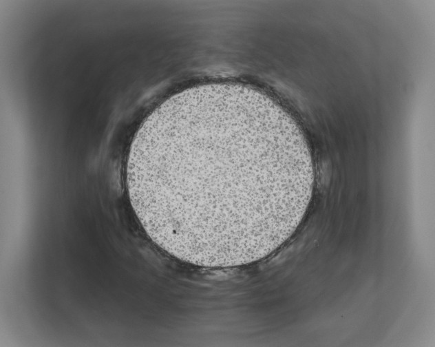 X0000111421205200908241125