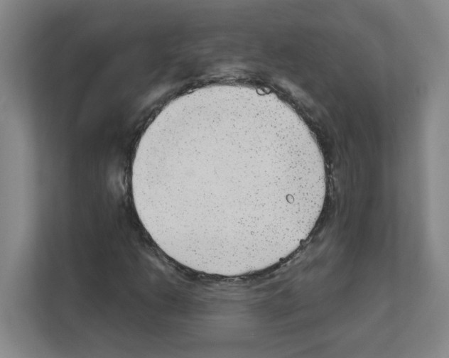 X0000111421206200908241125