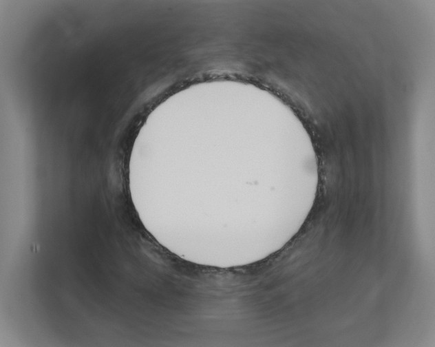 X0000111421207200908241125