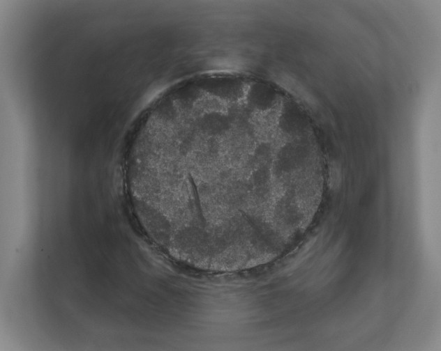 X0000111421208200908241125