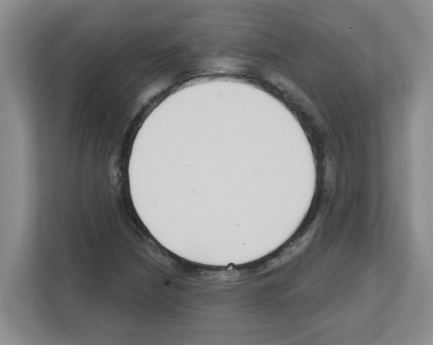 X0000111421210200908241125