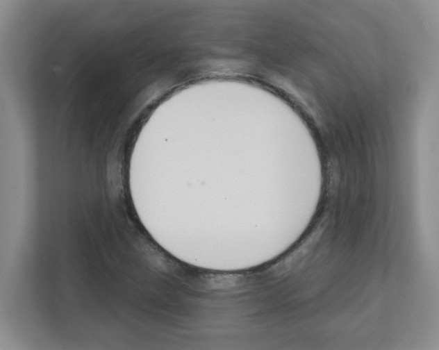 X0000111421211200908241125