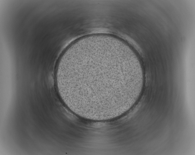 X0000111421212200908241125