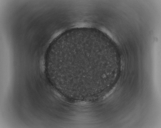 X0000111421213200908241125