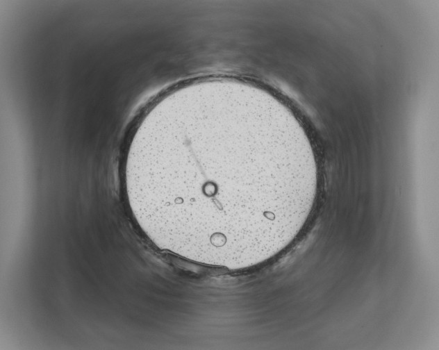 X0000111421214200908241125