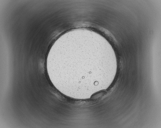 X0000111421217200908241125