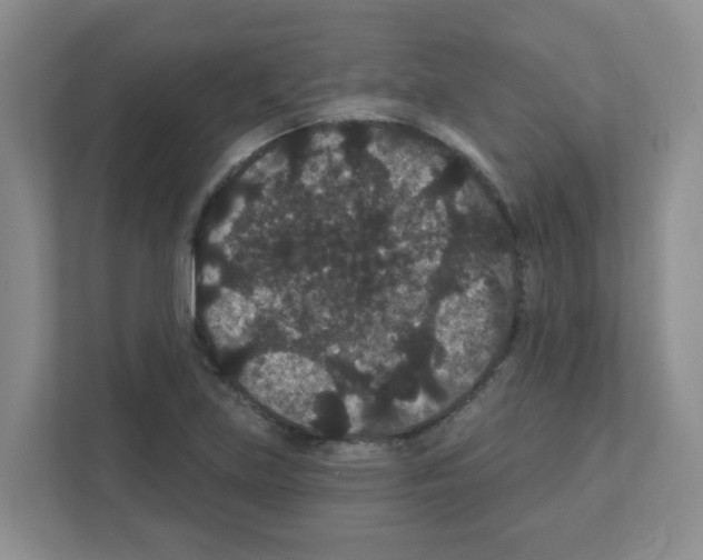 X0000111421219200908241125