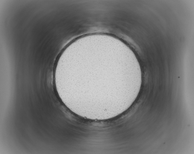 X0000111421220200908241125