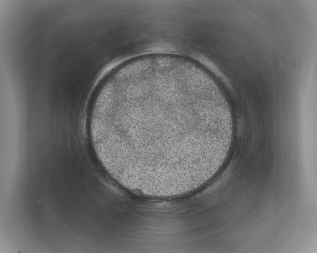 X0000111421222200908241125