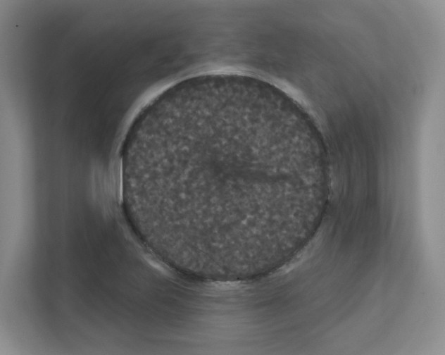 X0000111421223200908241125