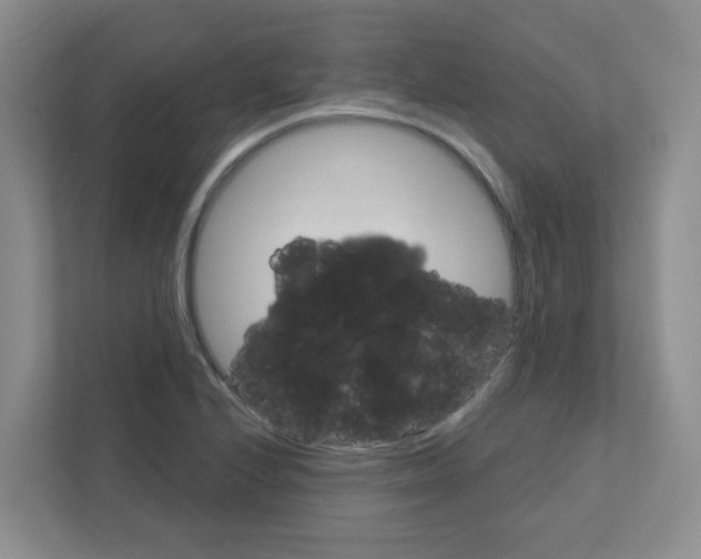 X0000111421224200908241125