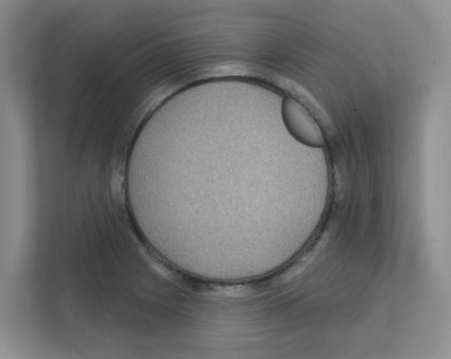X0000111421225200908241125