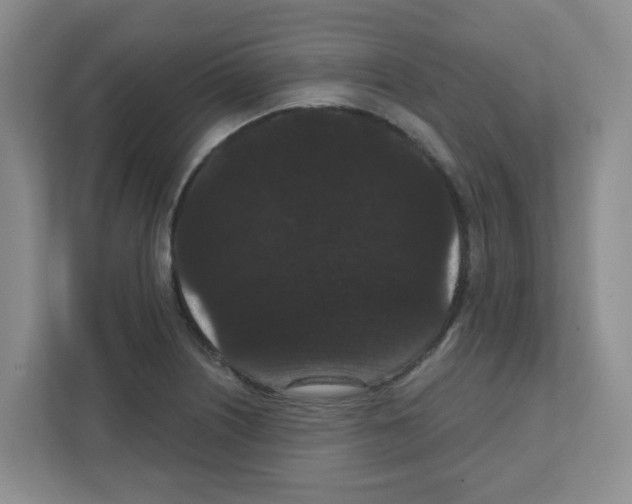 X0000111421226200908241125
