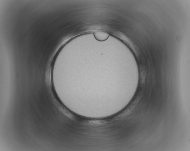 X0000111421227200908241125