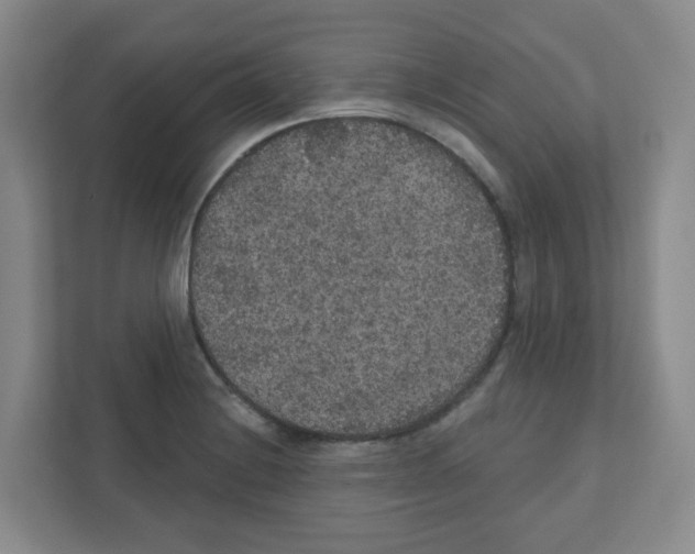 X0000111421228200908241125
