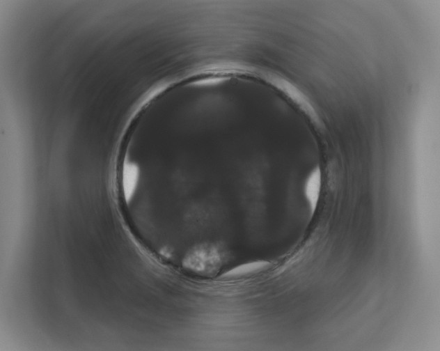 X0000111421229200908241125