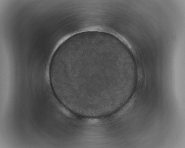 X0000111421230200908241125