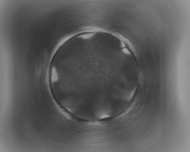 X0000111421231200908241125
