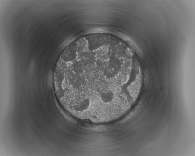X0000111421233200908241125