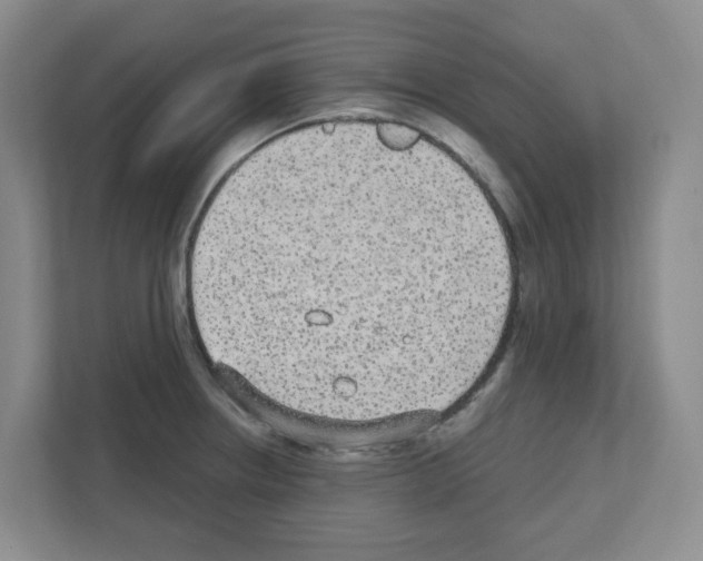 X0000111421234200908241125