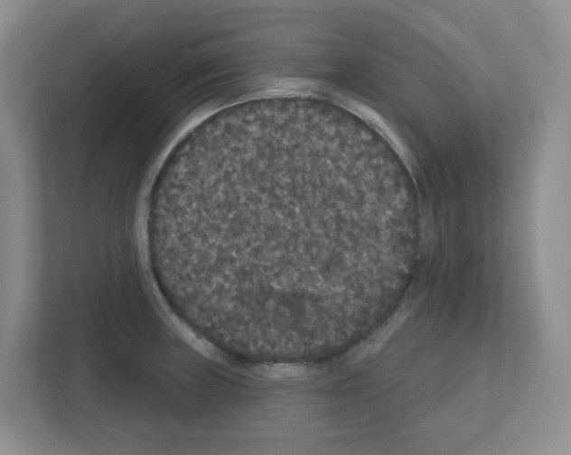 X0000111421235200908241125