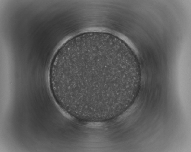 X0000111421237200908241125