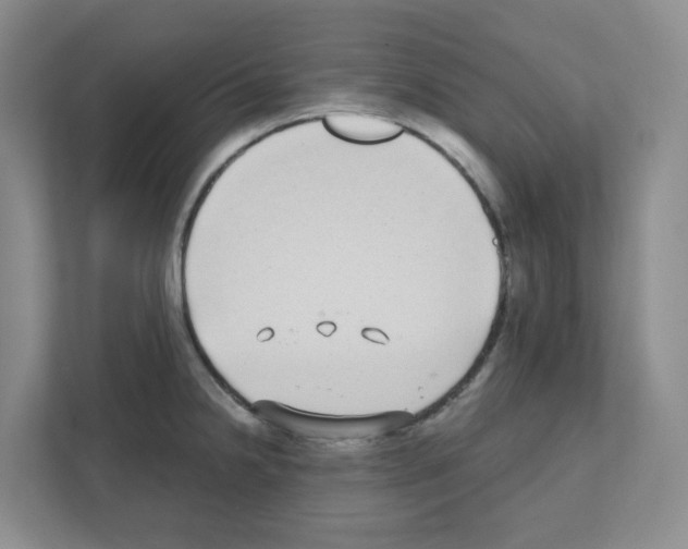 X0000111421238200908241125