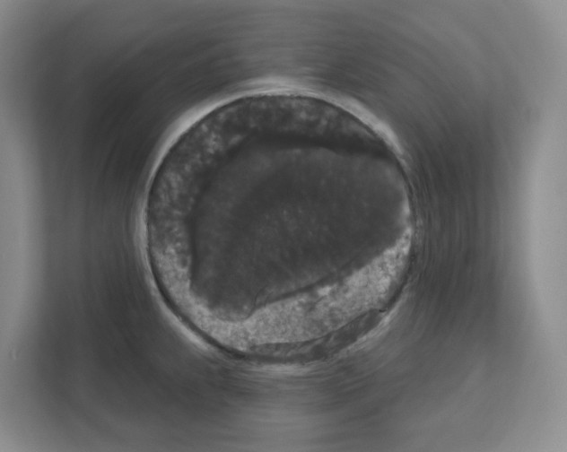 X0000111421239200908241125