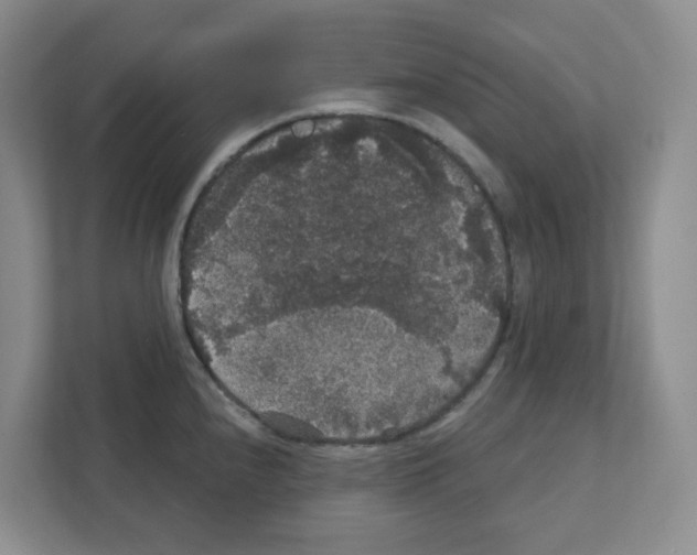 X0000111421240200908241125