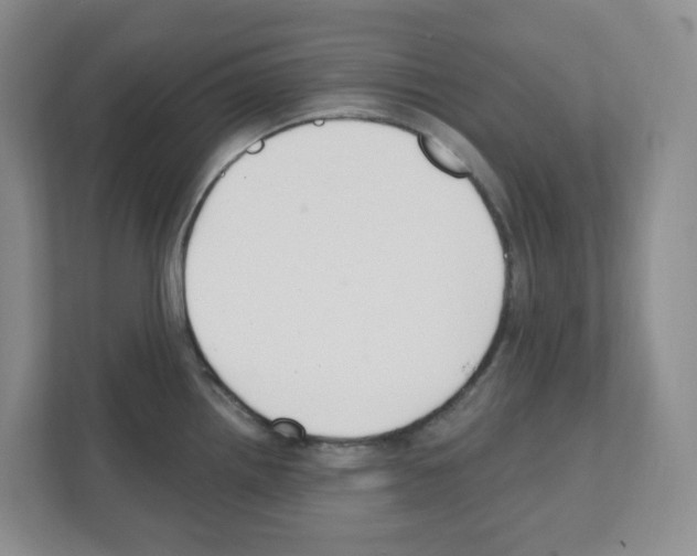 X0000111421242200908241125