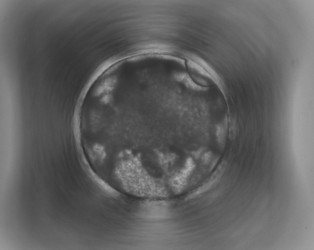 X0000111421243200908241125