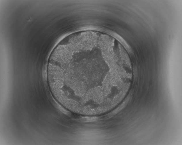 X0000111421244200908241125