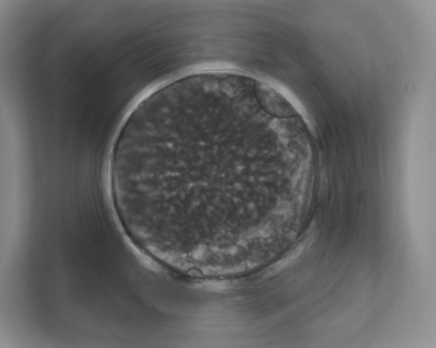 X0000111421245200908241126