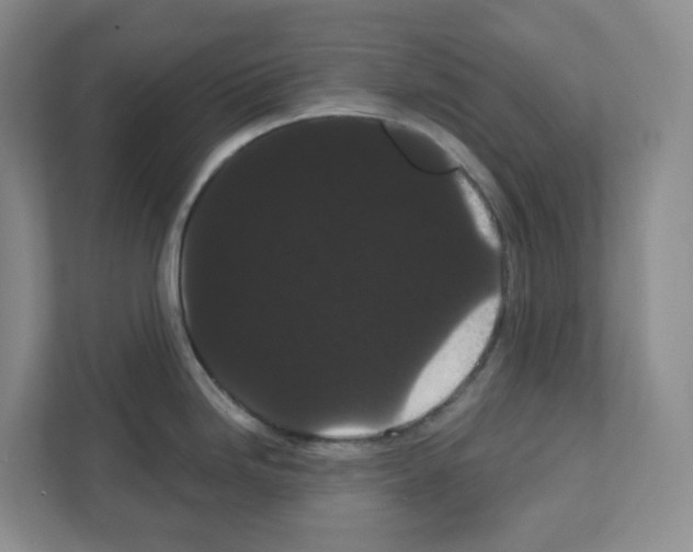 X0000111421246200908241126