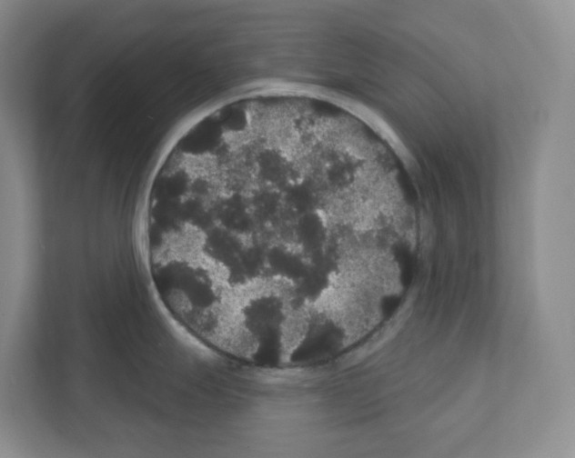 X0000111421247200908241126