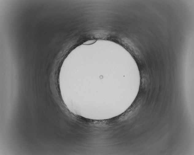 X0000111421249200908241125