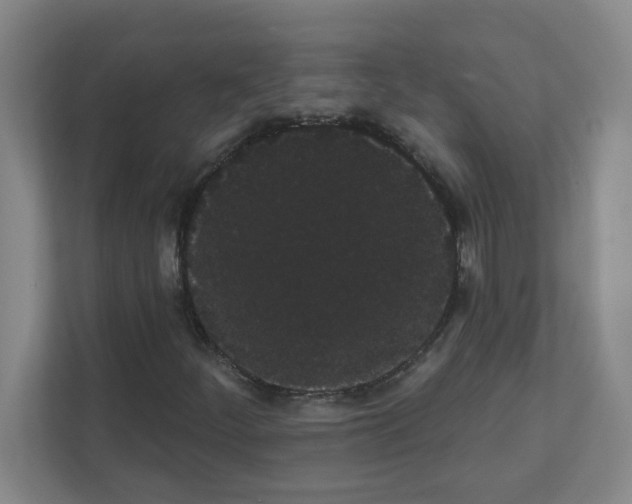 X0000111421252200908241125