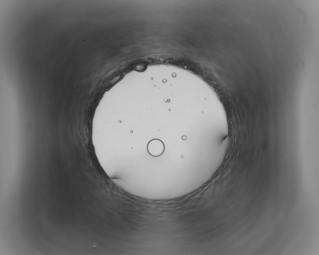 X0000111421253200908241125