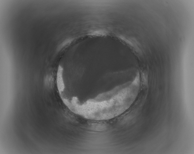 X0000111421254200908241125