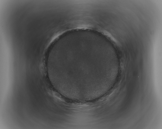 X0000111421256200908241125