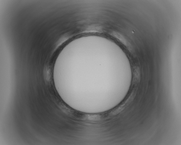 X0000111421258200908241125