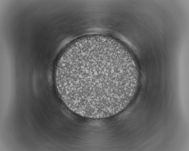 X0000111421259200908241125